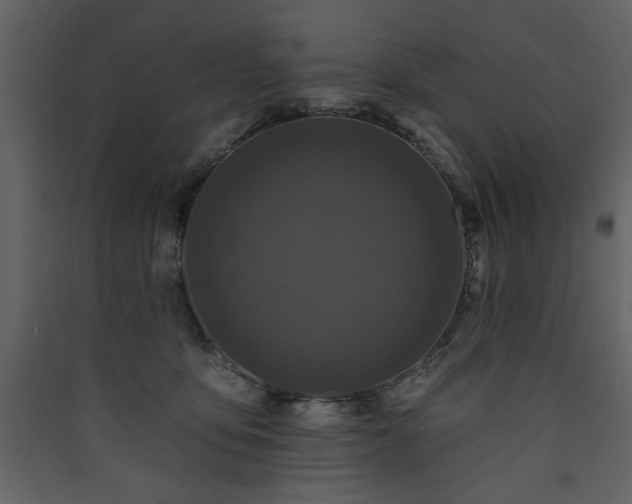 X0000090420419200707131213