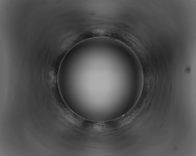 X0000090420420200707131213