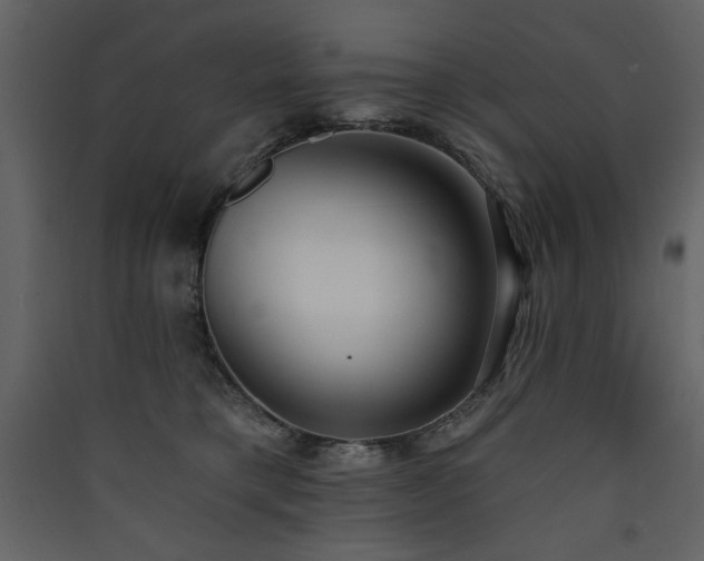 X0000090420421200707131213