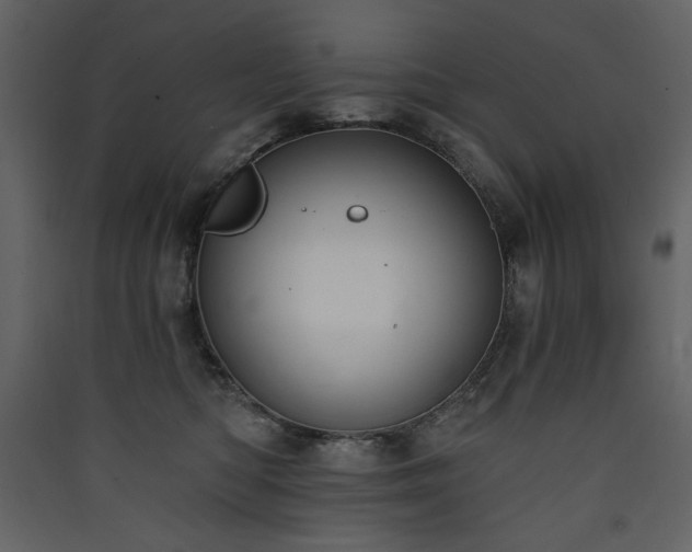 X0000090420422200707131213