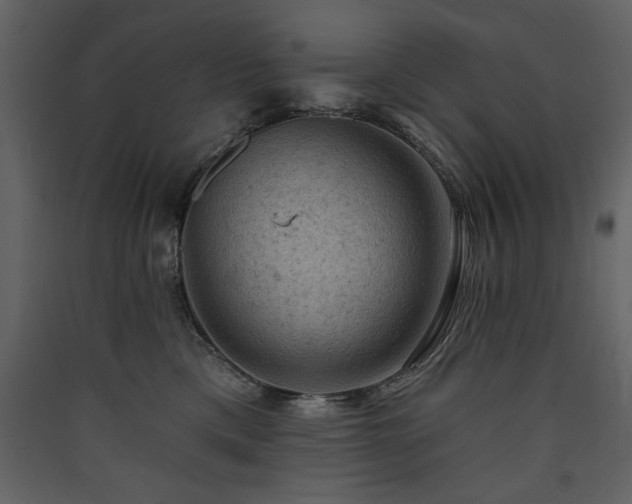 X0000090420425200707131212