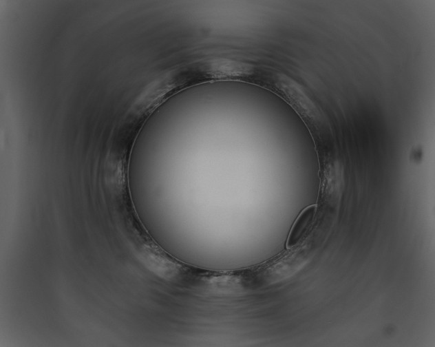 X0000090420426200707131212
