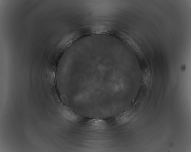 X0000090420427200707131212