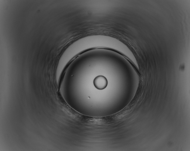 X0000090420428200707131212