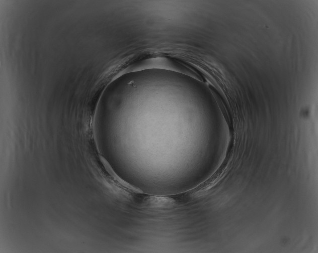X0000090420429200707131212
