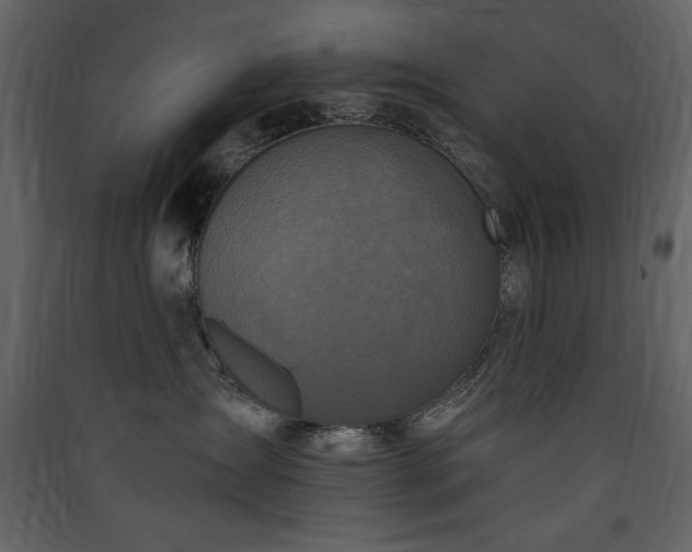 X0000090420431200707131212