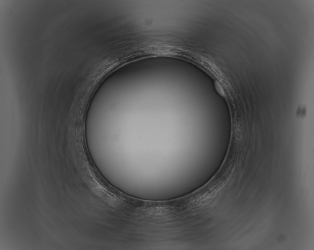 X0000090420433200707131212