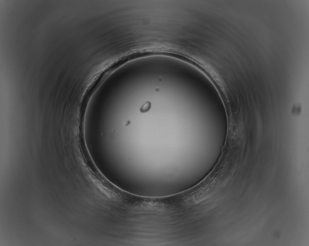 X0000090420437200707131212