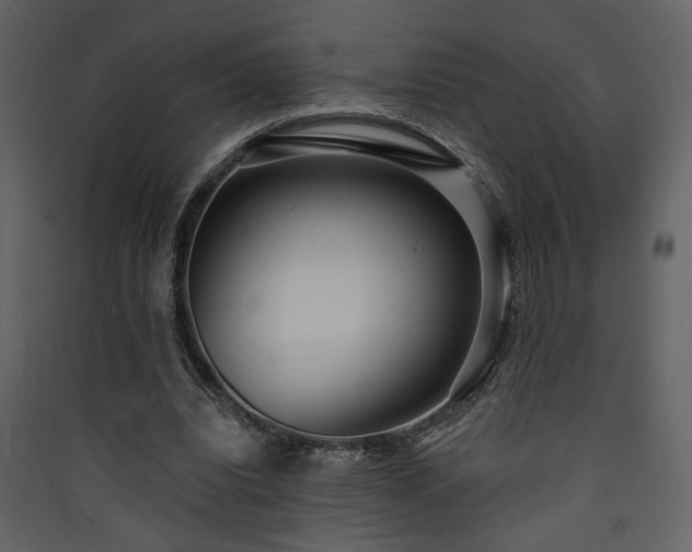 X0000090420440200707131212