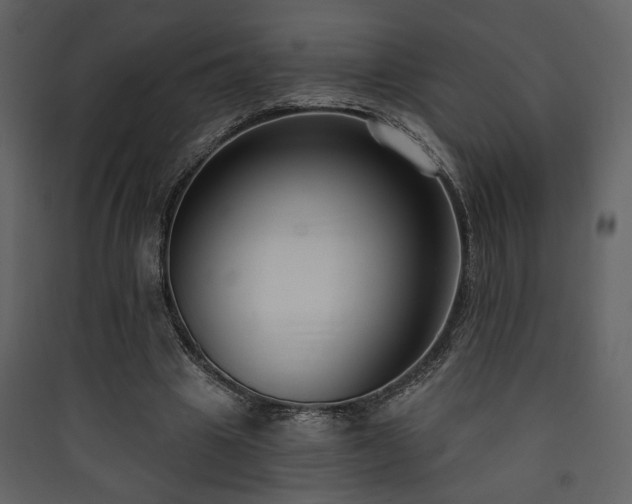 X0000090420441200707131212