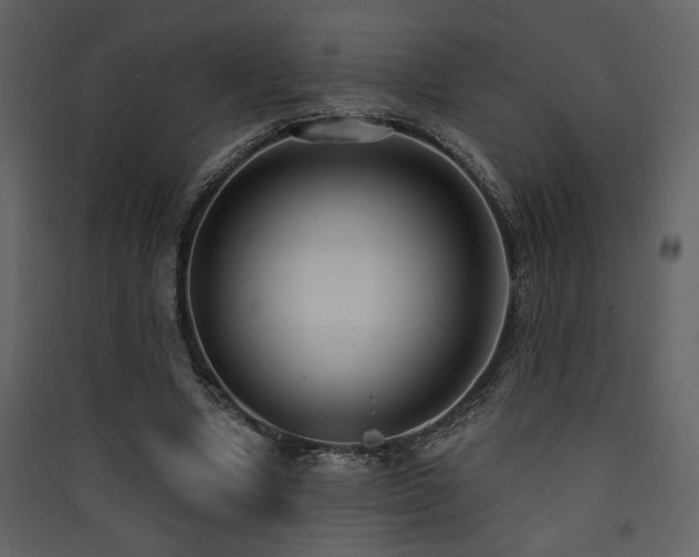 X0000090420442200707131212