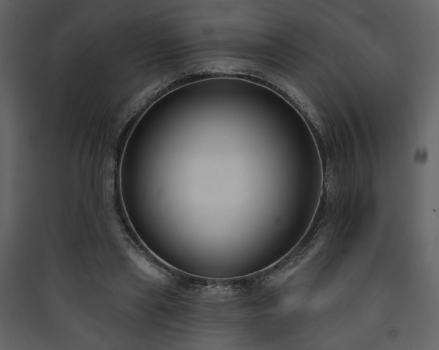 X0000090420445200707131212