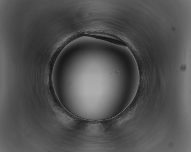 X0000090420446200707131212