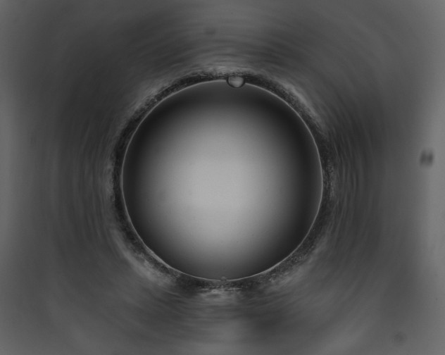 X0000090420447200707131212