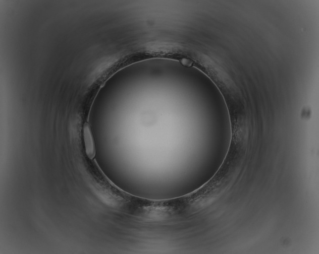 X0000090420448200707131212