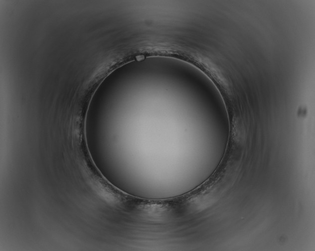 X0000090420449200707131212