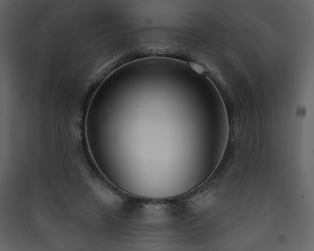 X0000090420450200707131212