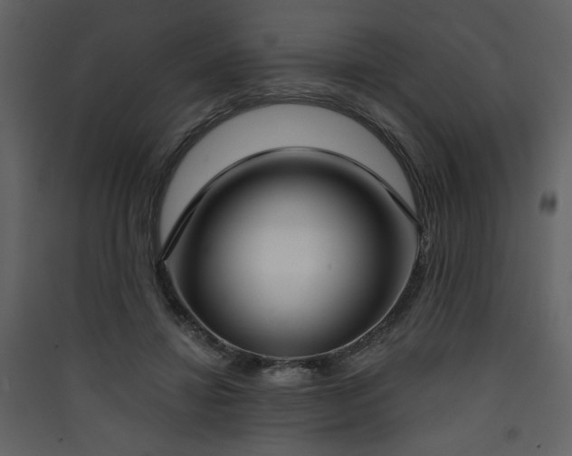 X0000090420452200707131212