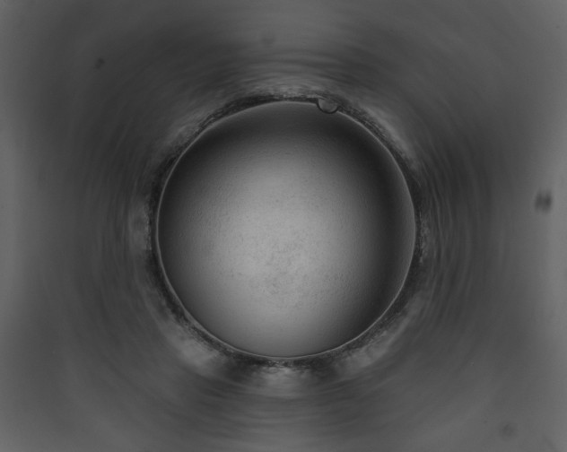 X0000090420453200707131212