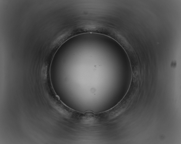 X0000090420454200707131212