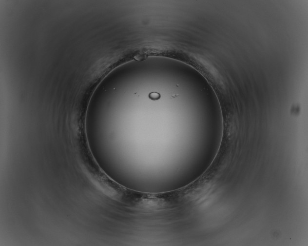 X0000090420455200707131212