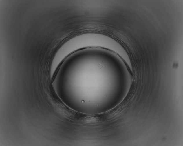 X0000090420456200707131212