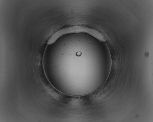 X0000090420458200707131212