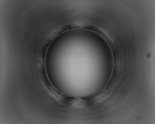 X0000090420459200707131212