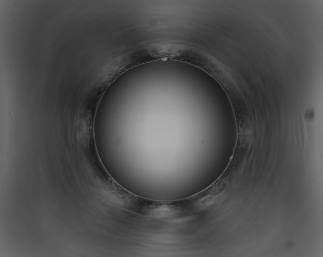 X0000090420460200707131212