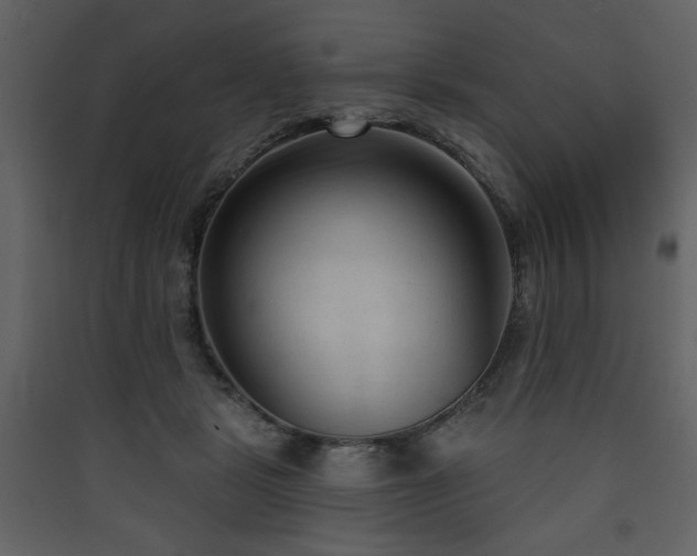 X0000090420461200707131212