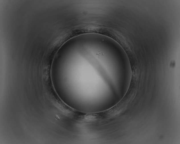 X0000090420462200707131212