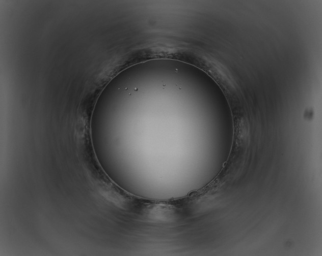 X0000090420463200707131212