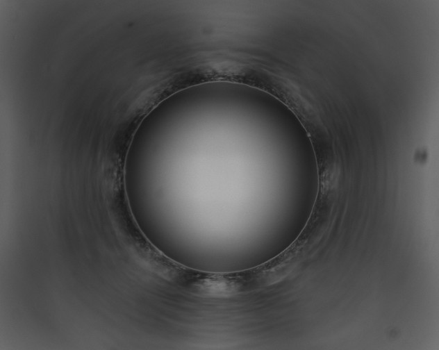 X0000090420464200707131212