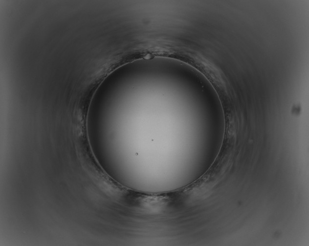 X0000090420465200707131212