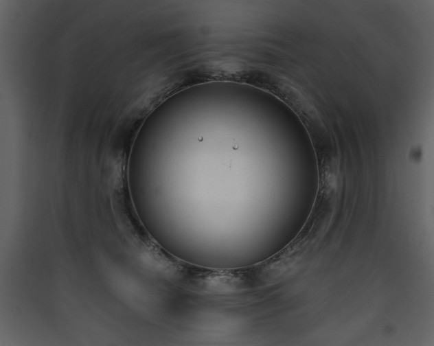 X0000090420468200707131212