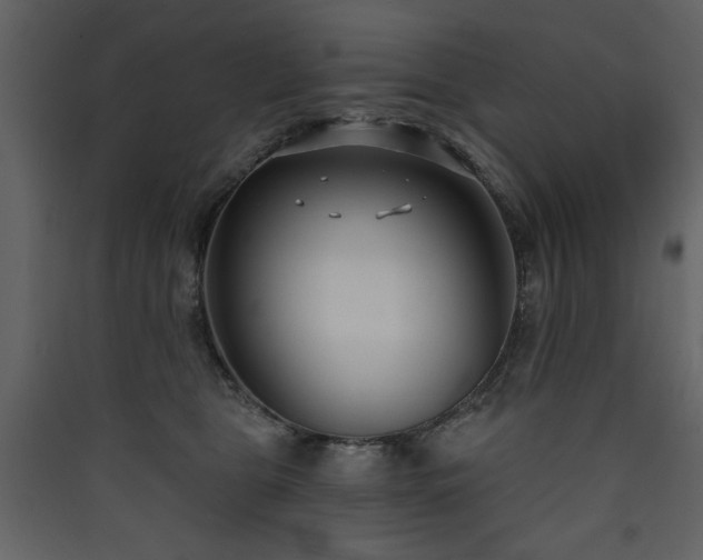 X0000090420469200707131212