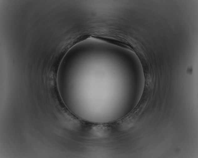 X0000090420470200707131212