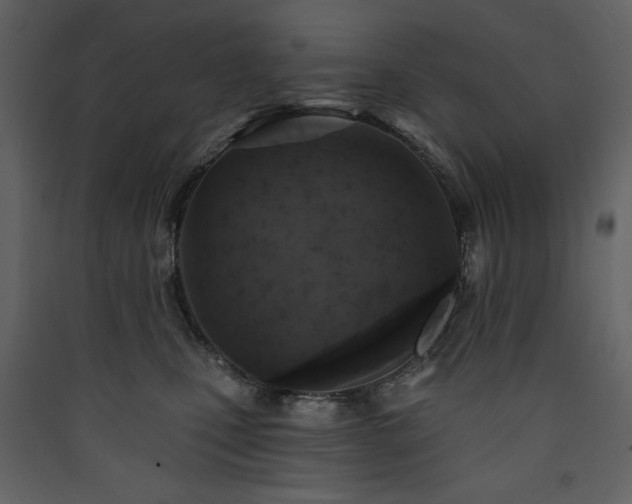 X0000090420471200707131212