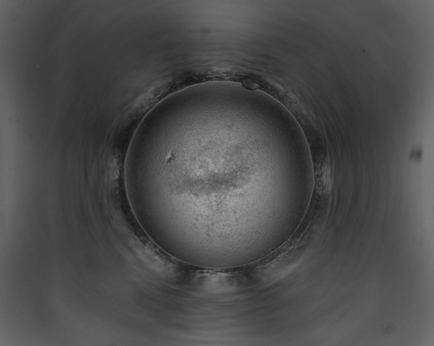 X0000090420472200707131212