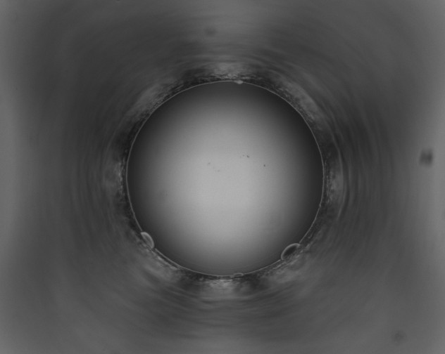X0000090420473200707131212