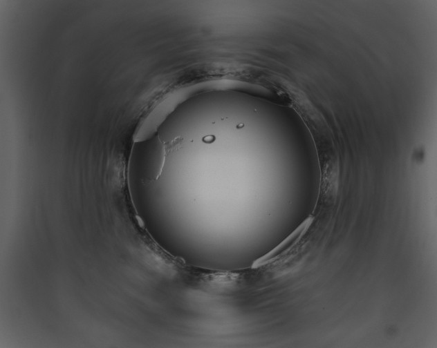 X0000090420474200707131212