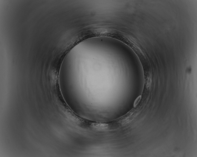 X0000090420476200707131212