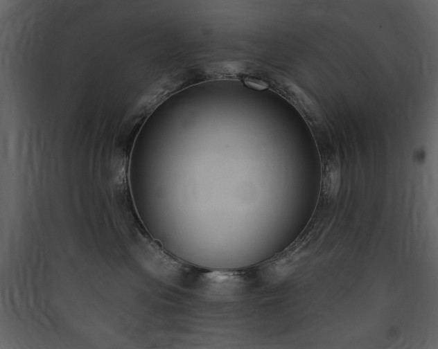 X0000090420477200707131212