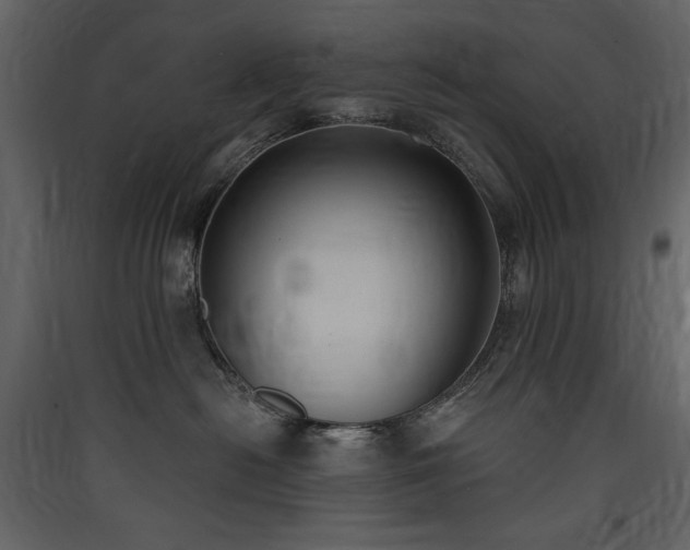 X0000090420478200707131212