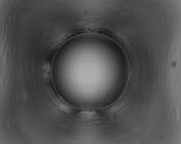 X0000090420480200707131212