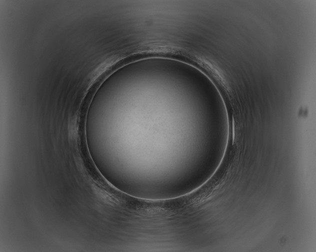 X0000090420483200707131212