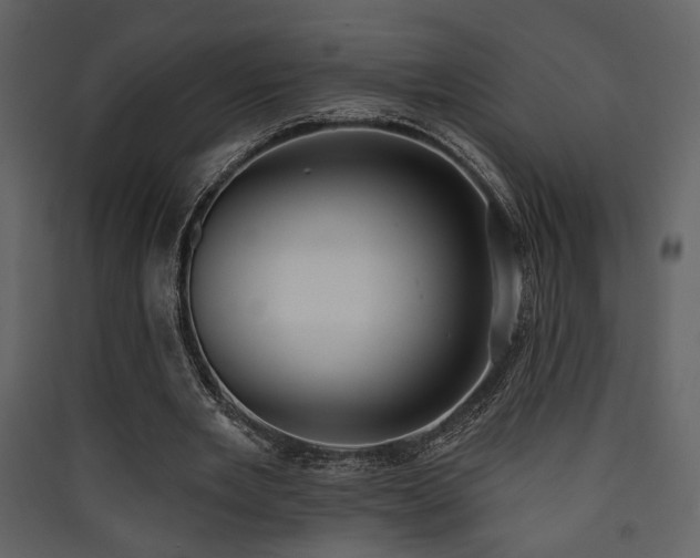 X0000090420485200707131212