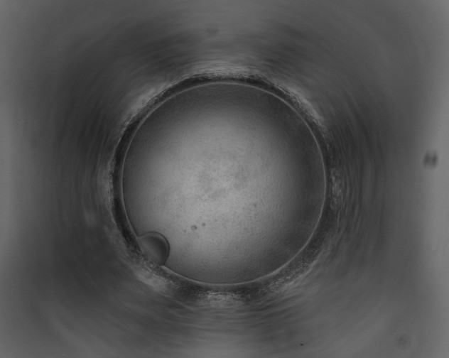 X0000090420487200707131212