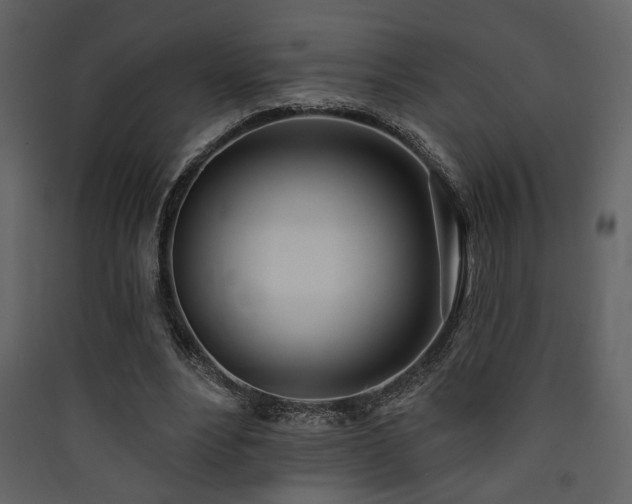 X0000090420488200707131212