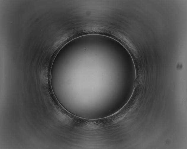 X0000090420489200707131212